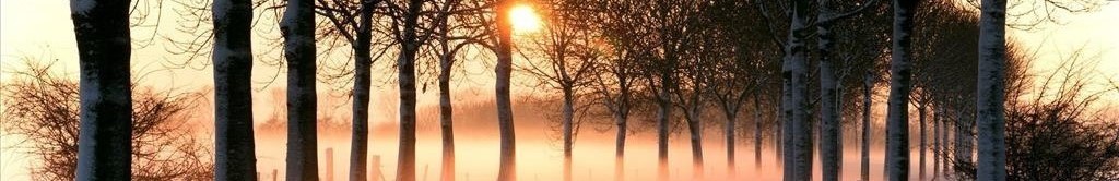 Coucher soleil